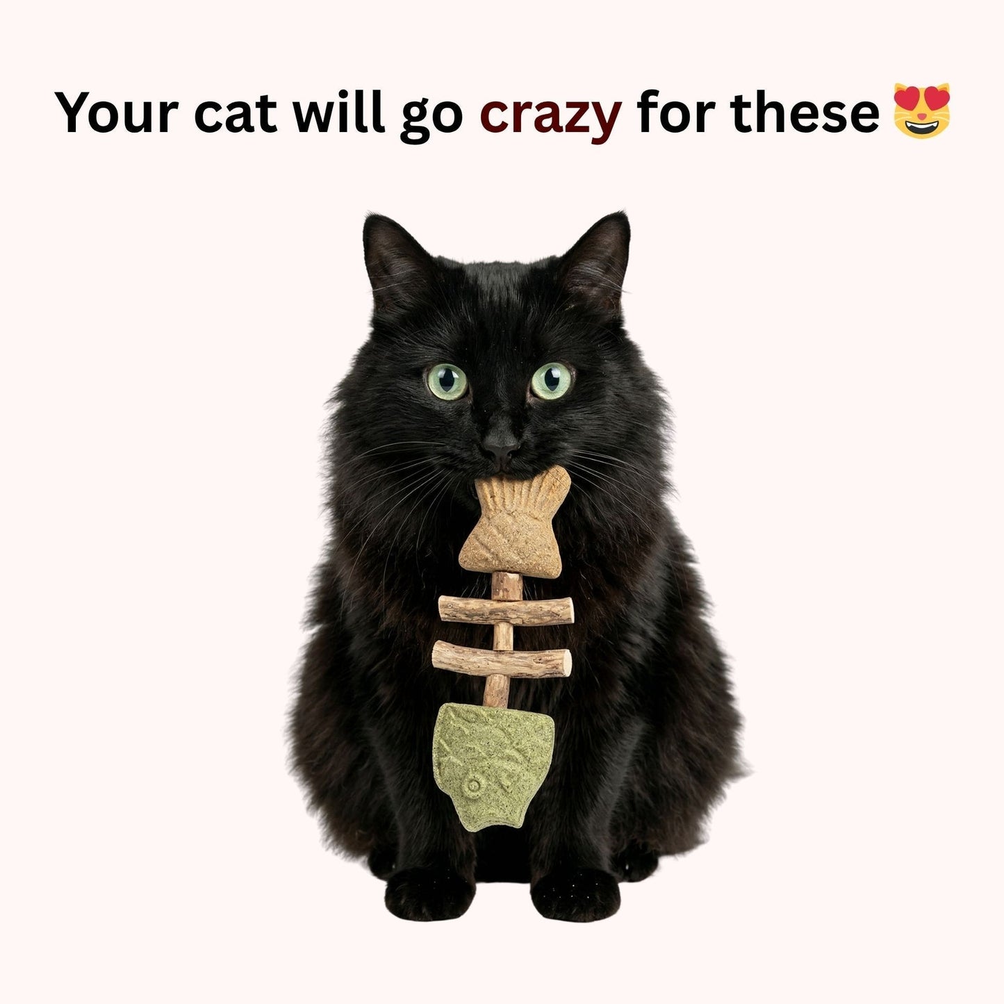 đ„ Catnip & Silvervine Magic Toy