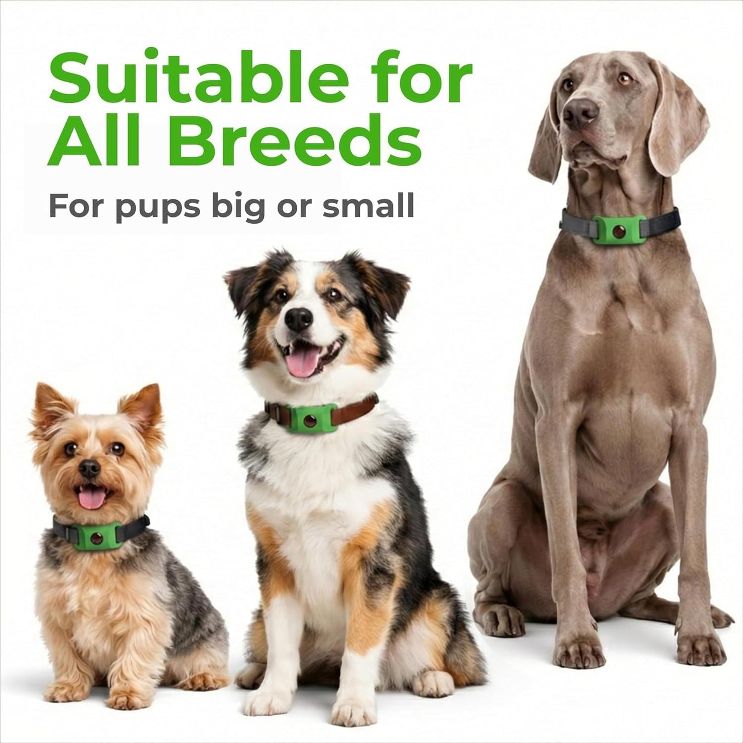 powerstep® Flea & Tick Protection Collar for Pets | 8-Month Long-Lasting Protection | Vet-Recommended Parasite Prevention