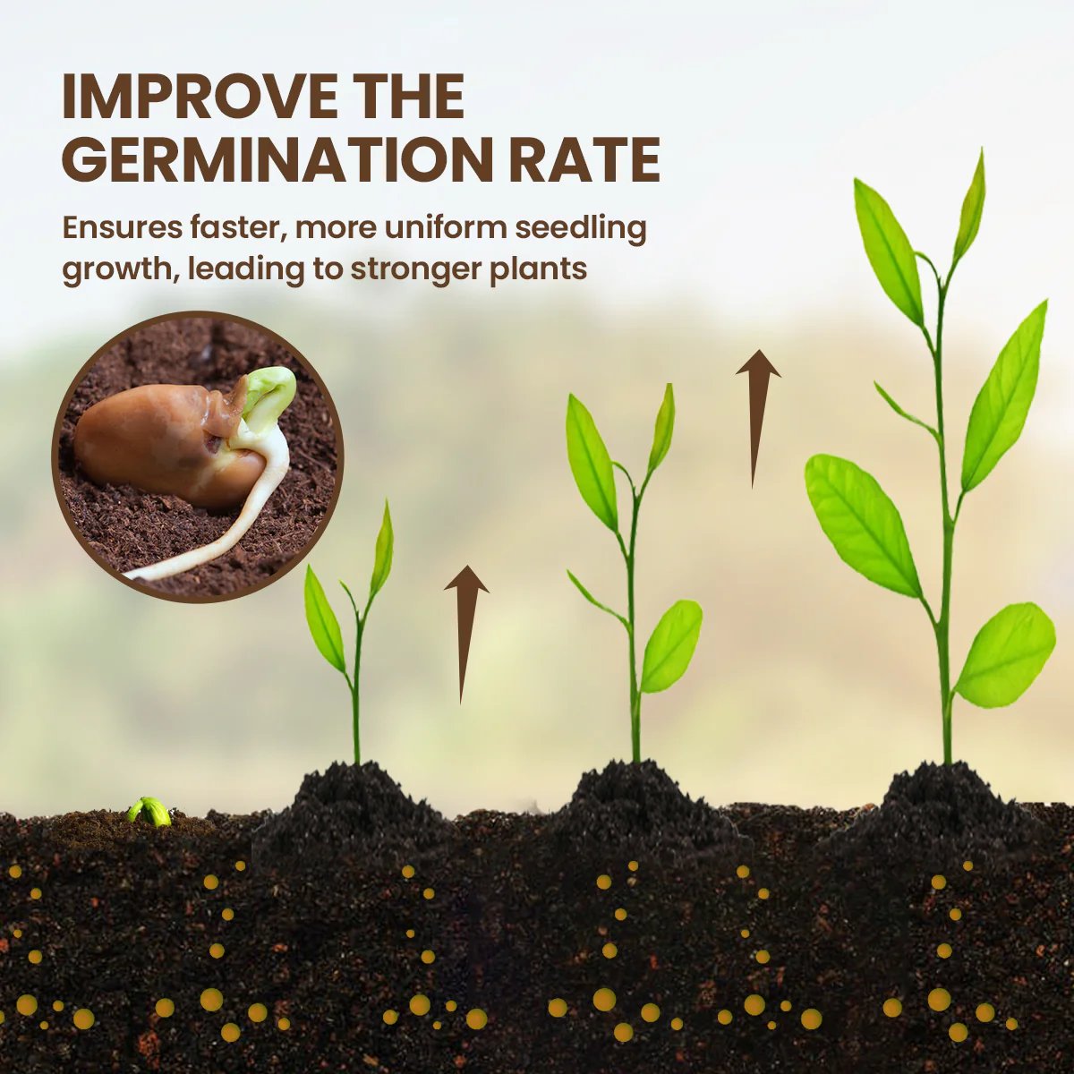powerstep®  Soil Pro Activator🌳