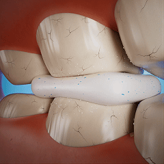 A gum piece