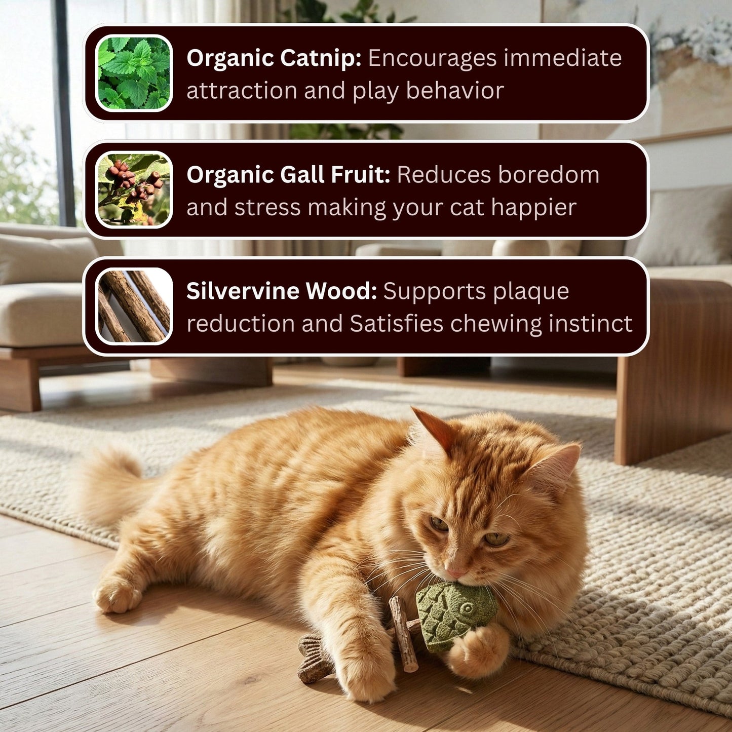 🔥 Catnip & Silvervine Magic Toy