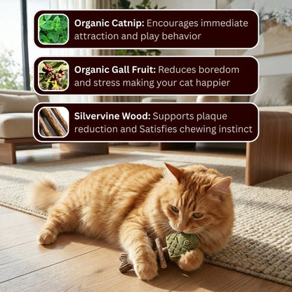 🔥 Catnip & Silvervine Magic Toy