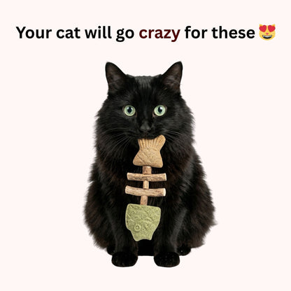 🔥 Catnip & Silvervine Magic Toy