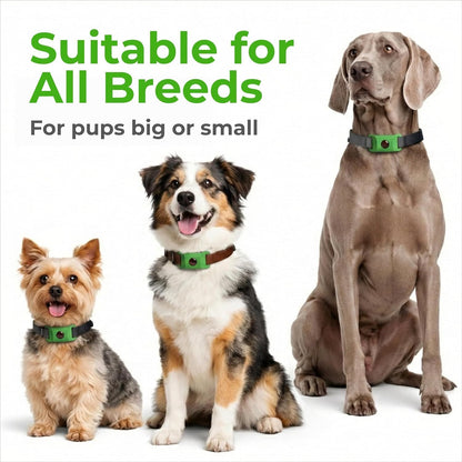 powerstep®  Flea & Tick Protection Collar for Pets | 8-Month Long-Lasting Protection | Vet-Recommended Parasite Prevention