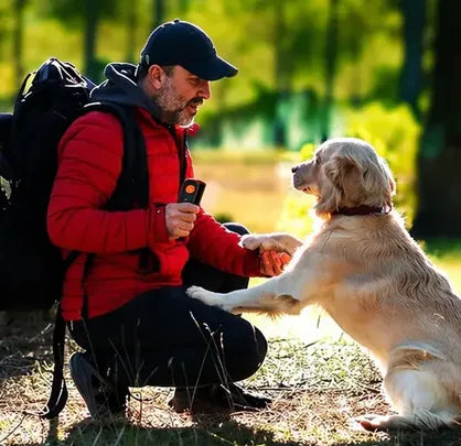 powerstep® Handheld Ultrasonic Dog Trainer