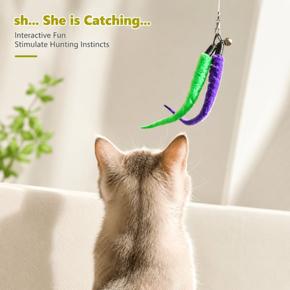 Interactive Cat Wand Toy Set - 2PCS Retractable Wand Toy and 9PCS Cat Feather Toys Refills