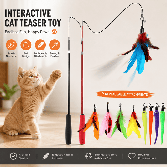 Interactive Cat Wand Toy Set - 2PCS Retractable Wand Toy and 9PCS Cat Feather Toys Refills